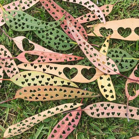 Bio safe confetti! Eco Friendly Birthday Party, Eco Friendly Confetti, Waste Free, Zero Waste Living, Eco Living, Produce Bags, Tree Hugger, Wedding Vibes, Reuse Recycle