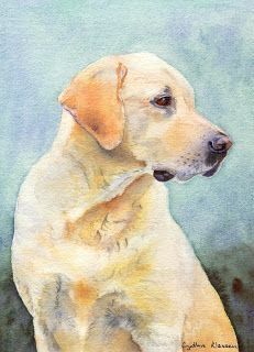 Watercolor portrait of a Yellow Labrador Retriever by Cynthia Klassen. See CynthiaKlassen.com Labrador Retriever Art, Lab Art, Labrador Art, Yellow Labrador Retriever, Portrait Watercolor, 강아지 그림, Labrador Retriever Puppies, Yellow Labrador, Beautiful Dog