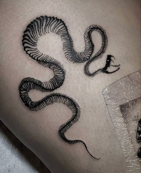 Snake Skeleton Tattoo, Snake Skeleton, Skeleton Tattoo, Snake Tattoo Design, Skeleton Tattoos, 4 Tattoo, Парные Тату, Tato Lengan, Snake Tattoo