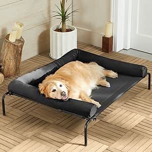 Cooling Dog Bed, Dog Cots, Outdoor Dog Bed, Cool Dog Beds, Cots, Pet Care Tips, Cot Bedding, Outdoor Dog, Dog Chews