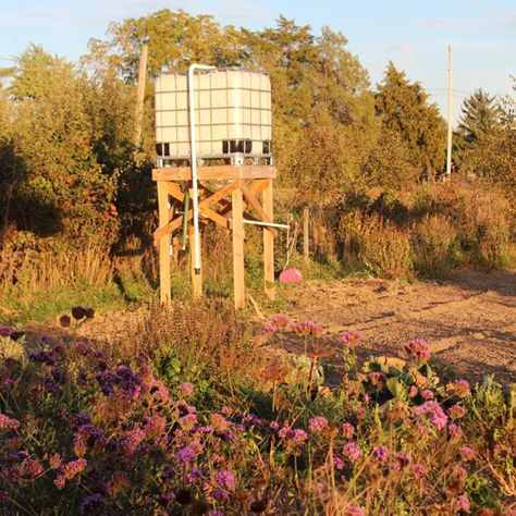 Rainwater Cistern, Rain Water Collection Diy, Water Collection System, Water From Air, Rainwater Harvesting System, Conserve Water, Watering System, Mother Earth News, Rainwater Harvesting