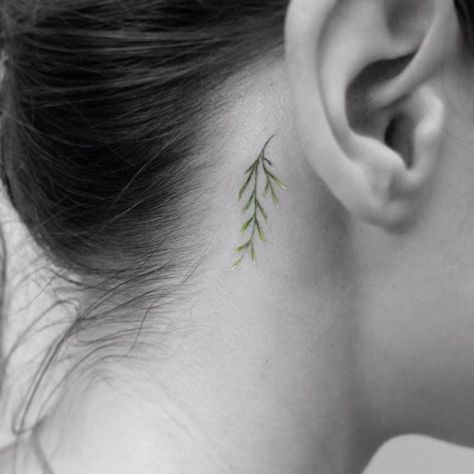 Green small twig with leaves inked behind the right ear Leaves Ear Tattoo, Twig Tattoo, Graphic Tattoos, Green Tattoo, Green Images, Tattoo Behind Ear, Graphic Tattoo, The Ear, Tattoo Designs For Women