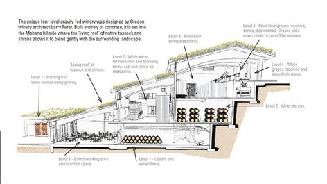 Winery Design, Wineries Architecture, Vineyard House, Winery Tasting Room, Section Drawing, Dream Bigger, Landscape Architecture Drawing, Wine Vineyards, Living Roofs