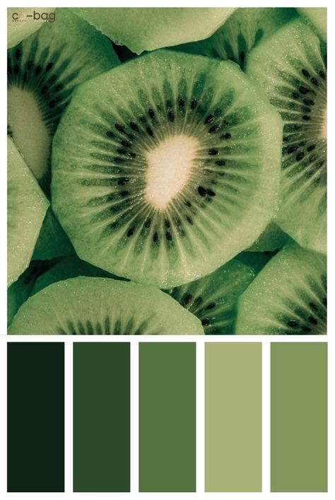 Kiwi Colour Palette, Kiwi Color Palette, Kiwi Green Color, Pantone Challenge, Palettes Color, Palette Challenge, Deck Colors, Dragons Den, Kiwi Bird