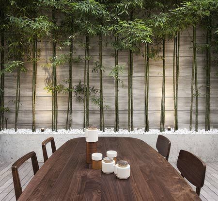 31 Blair Road by ONG&ONG - Dezeen Bamboo Trees, Outdoor Dining Spaces, Bamboo Garden, Bamboo Fence, Bamboo Wall, Outdoor Rooms, Modern Garden, Outdoor Design, Japanese Garden