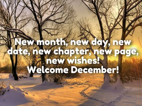 hello december quotes                                                                                                                                                                                 More 1 December Quotes, December 1st Quotes, Happy New Month Images, Welcome December Quotes, Goodbye November, Hello December Quotes, Happy New Month Messages, Hello December Images, December Wishes