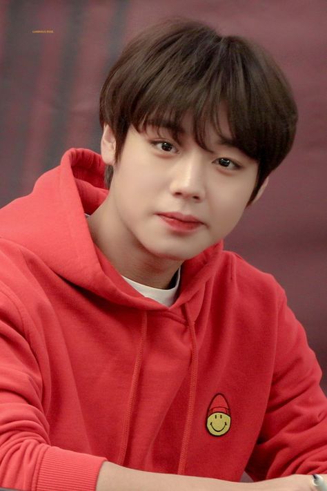 Park Jihoon Boyfriend Material Wanna One, Jihoon Park, Baby Park, First Boyfriend, Ong Seongwoo, Produce 101 Season 2, Kim Jaehwan, Wanna One, Park Jihoon