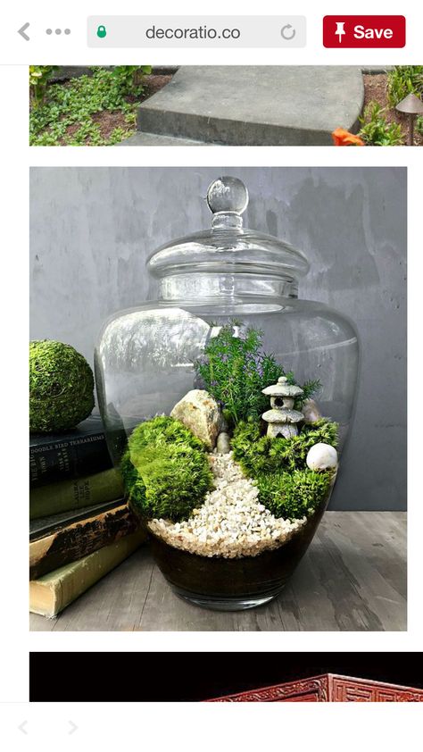 Mini Zen Garden Diy, Diy Japanese Garden, Beautiful Japanese Gardens, Small Japanese Garden, Japanese Garden Landscape, Mini Zen Garden, Concrete Patios, Terrarium Ideas, Beautiful Terrariums