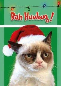 Grumpy cat wearing Santa Claus Hat Christmas Quotes Grinch, Cat Rocks, Grumpy Cat Christmas, Grumpy Cat Quotes, Christmas Greetings Quotes, Grumpy Cats, Christmas Memes Funny, Christmas Memes, Bah Humbug