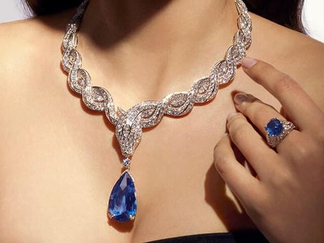 Necklace Bulgari, Treasure Necklace, Bulgari Serpenti, Bulgari Jewelry, Expensive Diamond, Ocean Treasures, Sweet Jewelry, Expensive Jewelry Luxury, Jewelry Set Design