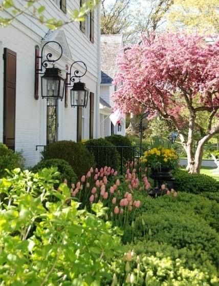 Garden Life, Outdoor Decorating, Flower Landscape, House Interiors, Country Charm, Pink Tulips, Spring Home, English Garden, Front Garden