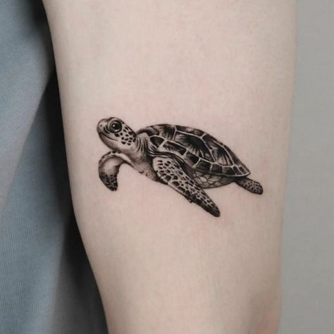 Turtle Power: 30 Sea Turtle Tattoo Ideas for Women & Men in 2024 Turtle Tattoo Ideas For Women, Sea Turtle Tattoo Ideas, Turtle Tattoo Ideas, Ninja Turtle Tattoos, Tattoo Turtle, Turtle Tattoos, Tropical Tattoo, Sea Turtle Tattoo, Back Of Arm Tattoo