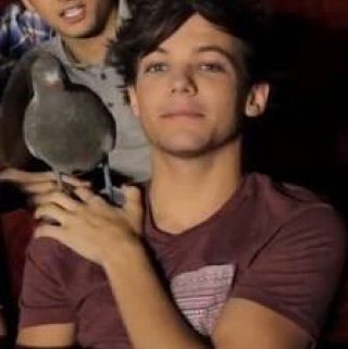 Louis Tomlinson with KEVIN!! the pegion!! Louis Tomlinson