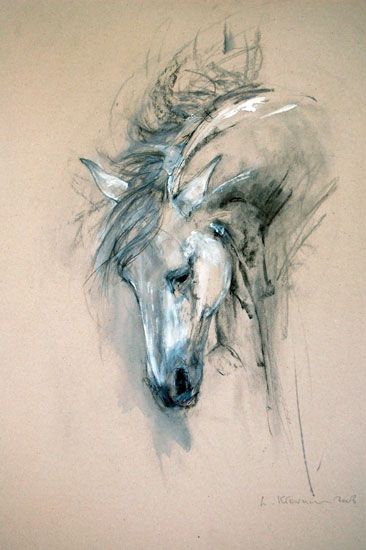 Lydia Kiernan ~ Andalusian Stallion Andalusian Stallion, Rough Sketches, Bull Painting, Galloping Horse, Horse Sketch, Abstract Horse, Horse Artwork, Equestrian Art, Watercolor Horse