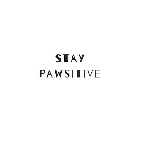 As much as its difficult. As much as you try. As many times as you are betrayed/hurt/used or fail. Remember that your dog will never treat you that way and always trusts you. Stay positive because If your dog still loves you nothing is ever that bad Dog Captions For Insta, Dog Stamp, Dog Mom Quotes, Cute Dog Quotes, Puppy Quotes, Pet Quotes, Dog Lover Quotes, Dog Quotes Love, Dog Quotes Funny