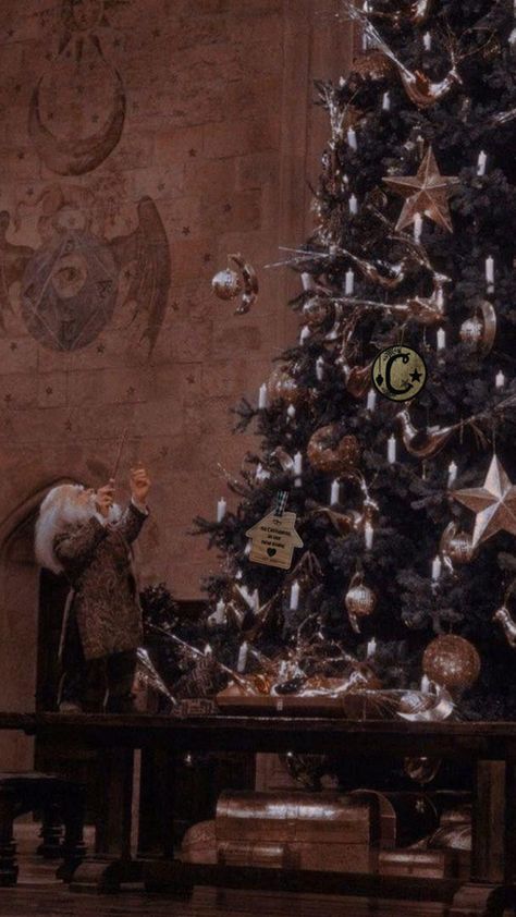 Natal Aesthetic, First Christmas Tree, Hogwarts Christmas, Gryffindor Aesthetic, Harry Potter Wall, Welcome To Hogwarts, Buku Harry Potter, Images Harry Potter, Dark Christmas