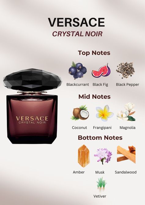 Embark on a fragrant odyssey with Versace Crystal Noir! Delve into the enchanting top notes of Blackcurrant, Black Fig, and Black Pepper, cascading into the lush mid notes of Coconut, Frangipani, Jasmine, Magnolia, Orange Blossom, Orris, and Ylang Ylang. Explore the depths of sophistication with the base notes of Amber, Musk, Sandalwood, and Vetiver. Immerse yourself in this olfactory masterpiece, curated just for you. Elevate your senses and click now to experience the allure of Versace Crystal Noir's exquisite notes! 🌺✨ #VersacePerfume #FragranceNotes #LuxuryScents #CrystalNoir" Woman Perfumes, Perfume Women, Perfume Notes, Versace Parfum, Versace Aesthetic Perfume, Best Versace Perfume For Women, Crystal Noir Versace Aesthetic, Noir Perfume, Crystal Noir Versace