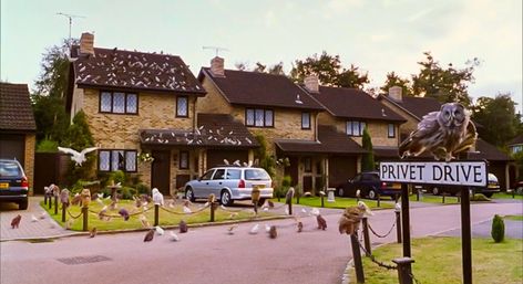 Harry Potter and the Sorcerer’s Stone - Owl problems at Privet Drive. Fem Harry Potter, Fem Harry, Hogwarts Letter, Philosophers Stone, Harry Potter Merchandise, The Sorcerer's Stone, Potter Facts, Harry Potter Gif, Hogwarts Aesthetic