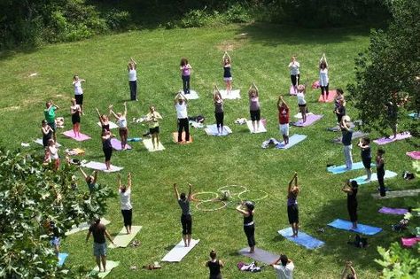 Yoga In The Park, Community Park Design, Lawn Activities, Park Activities, Family Yoga, Village Park, The Quarry, Dog Yoga, Community Park