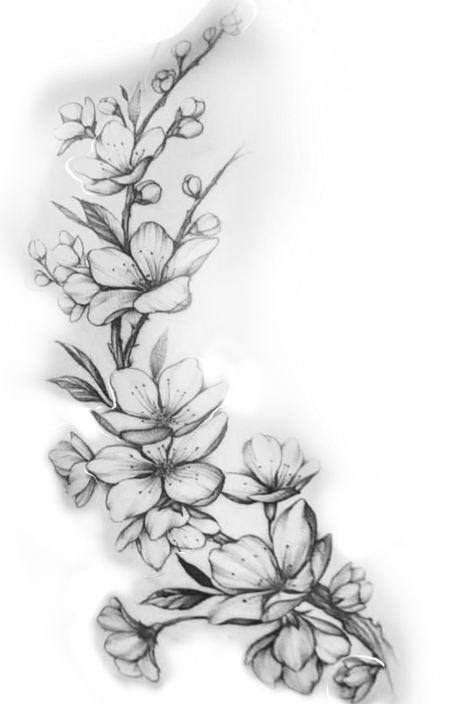 Cherry Blossom Flowers Tattoo, Tattoo Flowers Back, Tree Of Life Tattoo Feminine, Tattoo Ideas Realistic, Small Tattoo Stencils, Drawings Tattoo Ideas, Cherry Blossom Tattoo Design, Art Drawings Tattoo, Artist Tattoo Ideas