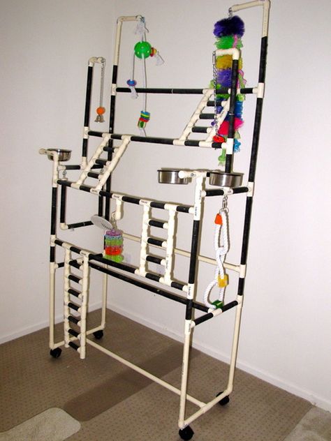 bird play stand - Google Search Bird Play Gym, Homemade Bird Toys, Parrot Play Stand, Diy Parrot Toys, Diy Bird Cage, Diy Bird Toys, Parrot Stand, Parrot Pet, Parrot Perch