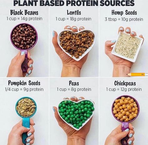 Protien Diet, Plant Based Protein Sources, Ketogenic Recipes Dinner, Vegan Protein Sources, Low Fat Cheese, Low Carb Diet Recipes, Vegan Protein, Protein Snacks, Protein Sources