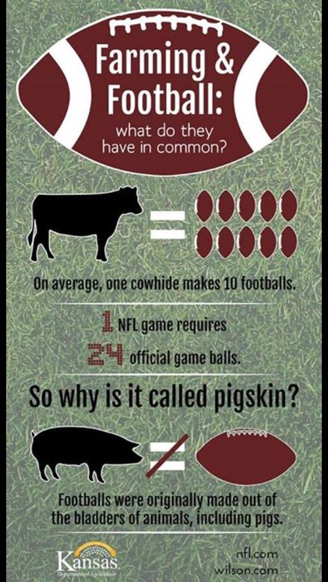 A little bell ringer trivia for your animal science students. Lewisville FFA - OLT 4-h Poster Ideas, Agriculture Education Classroom, Agriculture Classroom, Agriculture Facts, Ag Science, Ag Day, Farm Facts, Ag Education, Ag Teacher