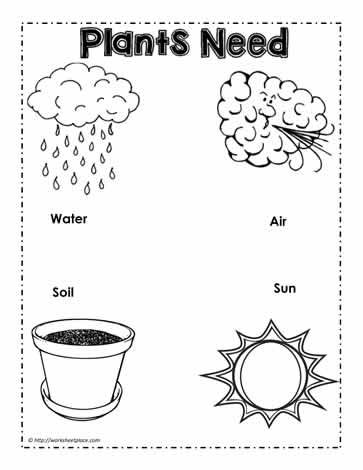 What do Plants Need What Do Plants Need To Grow, Parts Of The Plants Worksheets For Kindergarten, What Do Plants Need To Grow Preschool, Plants Needs Kindergarten, Plant Needs Worksheet, Types Of Plants Worksheets For Grade 1, What Plants Need To Grow, Parts Of A Plant Worksheet, What Plants Need To Grow Worksheet