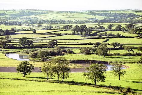 Natural Resources Wales / Ecosystem resilience field guide Urban Habitat, Natural Resource, Street Trees, Land Management, Community Gardening, Field Guide, Water Quality, Natural Resources, Ecosystem