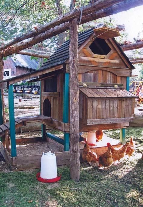 Building a coop from swing set? | BackYard Chickens - Learn How to Raise Chickens Cute Playhouse, Playhouse Chicken Coop, Chicken Coop Designs Diy, Play Structures For Kids, Build A Chicken Coop, Homesteading Diy, House Pictures, Chicken Coop Designs, Building A Chicken Coop