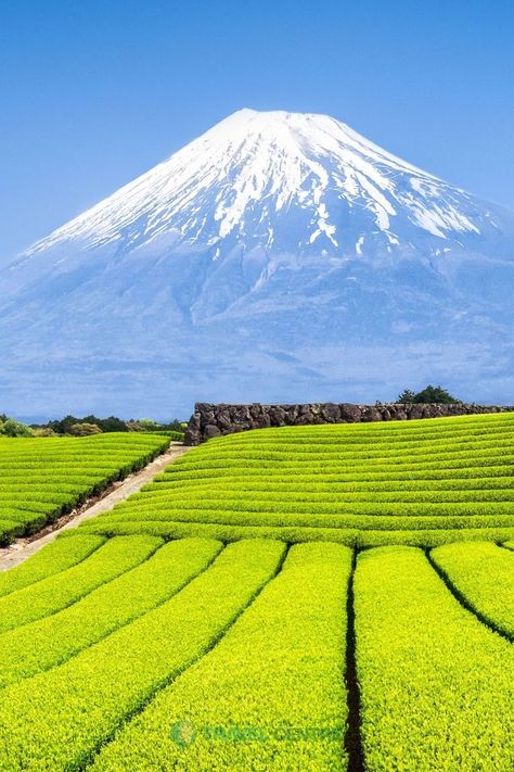 Mount Fuji Japan, Fuji Mountain, Japan Photography, Japanese Landscape, Mt Fuji, Manama, Amazing Views, Mount Fuji, Beautiful Sights