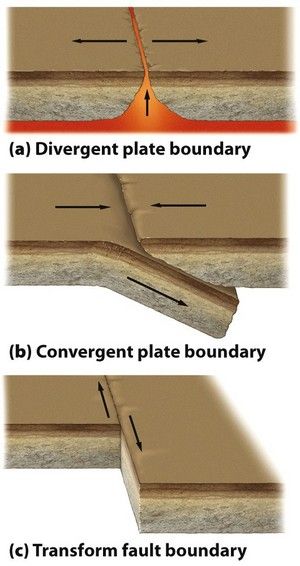 There are multiple types of plate boundaries: divergent, convergent, and transform. Types Of Plate Boundaries, Earth Structure, Earth Science Experiments, Structure Of The Earth, Ap Environmental Science, Earth Science Lessons, Plate Boundaries, Earth Layers, 8th Grade Science