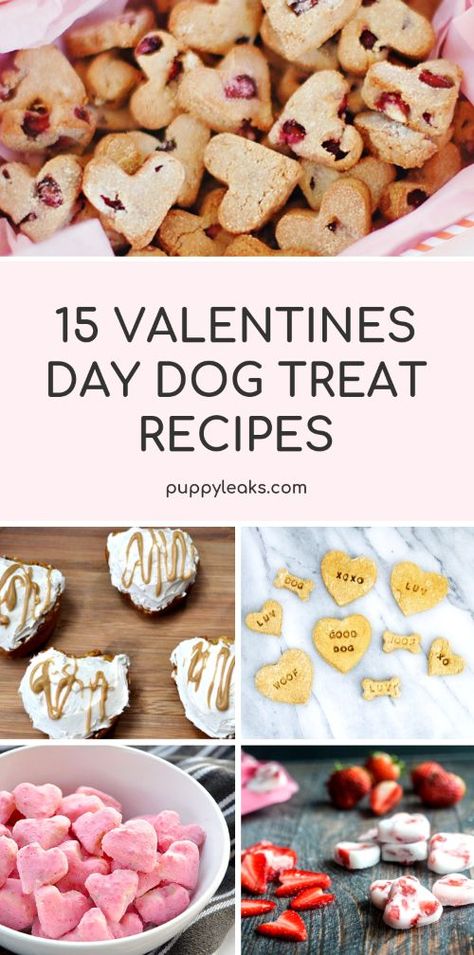 Looking for a simple way to treat your dog on Valentine's Day? My favorite way to make my dog feel special on holidays is by making her some homemade dog treats, and Valentine's Day is no exception. From gluten free dog treats to frozen options, here's 15 of my favorite Valentine's Day dog treat recipes.  via @puppyleaks Dog Treats Recipes, Recipes For Dogs, Gluten Free Dog Treats, Homemade Dog Cookies, Valentine Dog, Dog Biscuit Recipes, Easy Dog Treats, Dog Treats Homemade Recipes, Treats Recipes