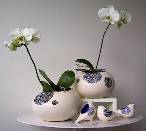 I love the orchid pots Floral Dorm, French Bleu, Orchid Pots, Imari Porcelain, Clay Planters, Orchid Arrangements, Orchid Pot, English Word, Garden Fountain