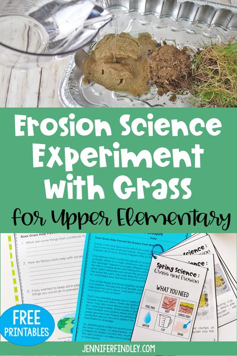 Stream Table Erosion Science Activities, Erosion Activities, Classroom Science Experiments, Spring Science Activities, Jennifer Findley, Spring Science, Weathering And Erosion, Stem Ideas, Coop Ideas