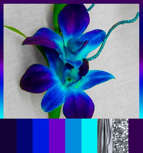 Blue Orchid and silver. (purple and blue and teal and cyan and silver) would b a good palate for room colors Blue Orchid Wedding, Orchid Boutonniere, Colour Themes, Wedding Colour, Color Schemes Colour Palettes, Orchid Wedding, Disney Fairy, Prom Flowers, Peacock Wedding