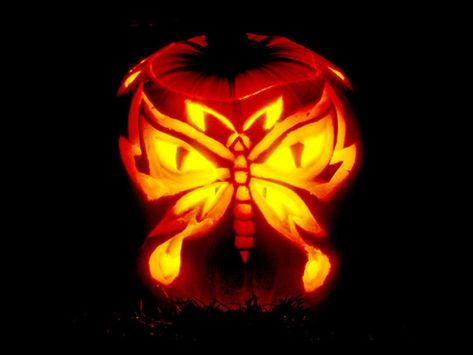 28 Best Cool & Scary Halloween Pumpkin Carving Ideas, Designs & Images 2015 Butterfly Pumpkin Carving, Minion Pumpkin Carving, Butterfly Pumpkin, Scary Pumpkin Designs, Spiderman Pumpkin, Cat Pumpkin Carving, Scary Halloween Pumpkins, Halloween Pumpkin Carving Stencils, Pumpkin Carving Contest