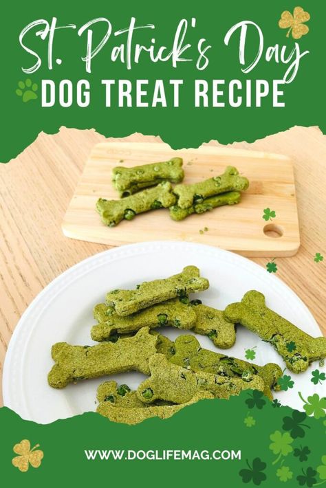 st-patricks-day-dog-treat-recipe - doglifemag.com Green Bean Dog Treats, Gluten Free Dog Treats, Dog Treat Recipe, Dog Treats Homemade Easy, Dog Treats Grain Free, Easy Dog Treats, Can Green Beans, Refreshing Snacks, Diy Dog Treats