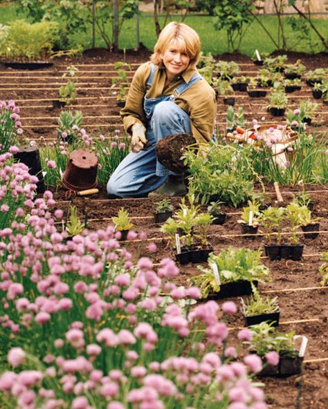 Take a tour with Martha of her previous Connecticut home, Turkey Hill. Large Vegetable Garden, Raising Turkeys, Turkey Hill, When To Plant Vegetables, Vegetable Bed, Garden Layout Vegetable, Aloe Vera Plant, Martha Stewart Living, Cut Flower Garden