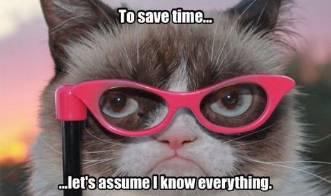 To save time, let's assume I know everything. Grumpy Cat Quotes, Grumpy Cat Humor, Angry Cat, Cat Quotes, Grumpy Cat, Wild Animals, Crazy Cat Lady, Cat Life, Animals Pets