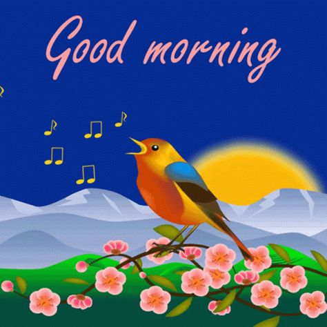 Good Morning GIF - Good Morning Nature - Discover & Share GIFs Animated Good Morning, Good Morning Gifs, Good Morning Nature Images, Cute Good Morning Gif, Rosé Gifs, Good Morning Gift, Morning Gifs, Good Morning Tuesday, Morning Rose