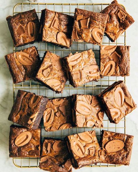 Sarah Kieffer Brownies » Hummingbird High Malted Milk Brownies, Recipe For King Cake, Malted Milk Powder, Sarah Kieffer, Dessert Person, Claire Saffitz, King Cake Recipe, Baking Journal, Chewy Brownies