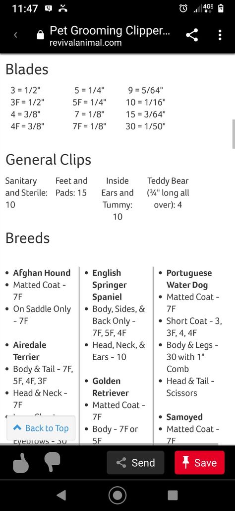 Dog Grooming Templates, Dog Grooming Beginner, How To Start A Pet Grooming Business, Dog Grooming Price List, Grooming Salons, Pet Grooming Business, Mobile Pet Grooming, Grooming Ideas, Pet Care Business