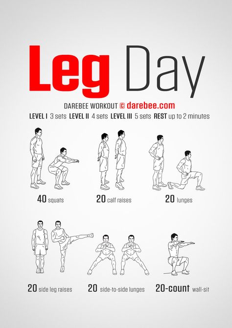 Legs are what you need to use when you want to run (from zombies, werewolves and vampires, for example) and they’re also kinda useful in everyday life because we still walk to get to places. This is a workout to help you make them strong and capable of performing at will. Darebee Workout, Fitness Studio Training, Trening Sztuk Walki, Gym Antrenmanları, Lower Body Workouts, Leg Day Workouts, Leg Workouts, Workout Chart, Body Workout Plan