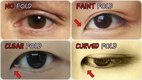 Epicanthic Fold, Eye Study, Face Study, Body Drawing Tutorial, Types Of Eyes, Anatomy Drawing, Figure Drawing Reference, Face Expressions, Body Reference