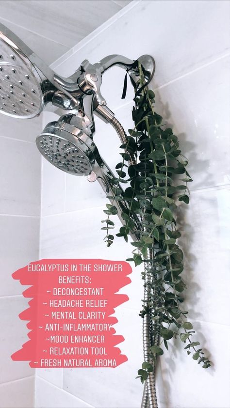 bathroom plants decoration bathroom plants no sunlight Trendy bathroom plants decor ideas || bathroom decoration with plants Eucalyptus In The Shower, Colour Hallway, Plant Benefits, Plant Care Houseplant, Small Hallway, Best Indoor Plants, Bathroom Plants, Hallway Ideas Colour, Narrow Hallway