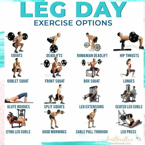 💥LEG DAY OPTIONS💥⁠ ⠀⠀⠀⠀⠀⠀⠀⠀⠀⠀⠀⠀⁠ Here are 16 exercises that’ll help you build that booty and legs!!⁠ ⠀⠀⠀⠀⠀⠀⠀⠀⠀⠀⠀⠀⁠ 💪 If you take 3-5 exercises of this list and use them in your training session, perform them in the 6-12 rep range and load them with enough weight and push yourself. You’ll definitely be building your legs and butt!!⁠ ⠀⠀⠀⠀⠀⠀⠀⠀⠀⠀⠀⠀⁠ Smash the heart if this was helpful.⁠ Leg Workout Gym, Warm Up Cardio, Wedding Workout Plan, Leg Workouts For Men, Workouts For Men, Lying Leg Curls, Seated Leg Curl, Gym Memes Funny, Bodybuilding Quotes