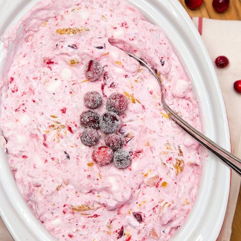 This Cranberry Fluff Salad is the perfect side dish or dessert for the holidays! @Anolon #ad Cranberry Fluff Salad, Fluff Recipes, Cranberry Jello Salad, Cranberry Fluff, Fresh Cranberry Sauce, Jello Salads, Fluff Salad, Best Thanksgiving Side Dishes, Christmas Sides