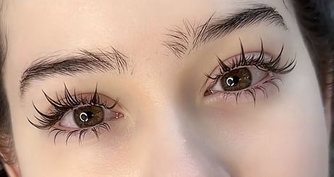 Doe Eyelashes, Lashes For Doe Eyes, Eyelash Extensions Doe Eye, Doe Eyes Long Lashes, Asian Cat Eye Lash Extensions, Lash Extension Asian Eyes, Amber Eyes Color, Lash Extension Doll Eye, Almond Eye Makeup