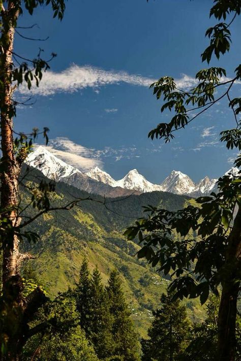 Munshayri, #Uttarakhand Uttarakhand Culture, Amazing India, State Symbols, Folk Festival, Beautiful Sites, Best Photo Poses, Hill Station, Ancient Architecture, Countries Of The World